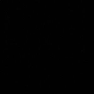 Meet your Posher, Jenn